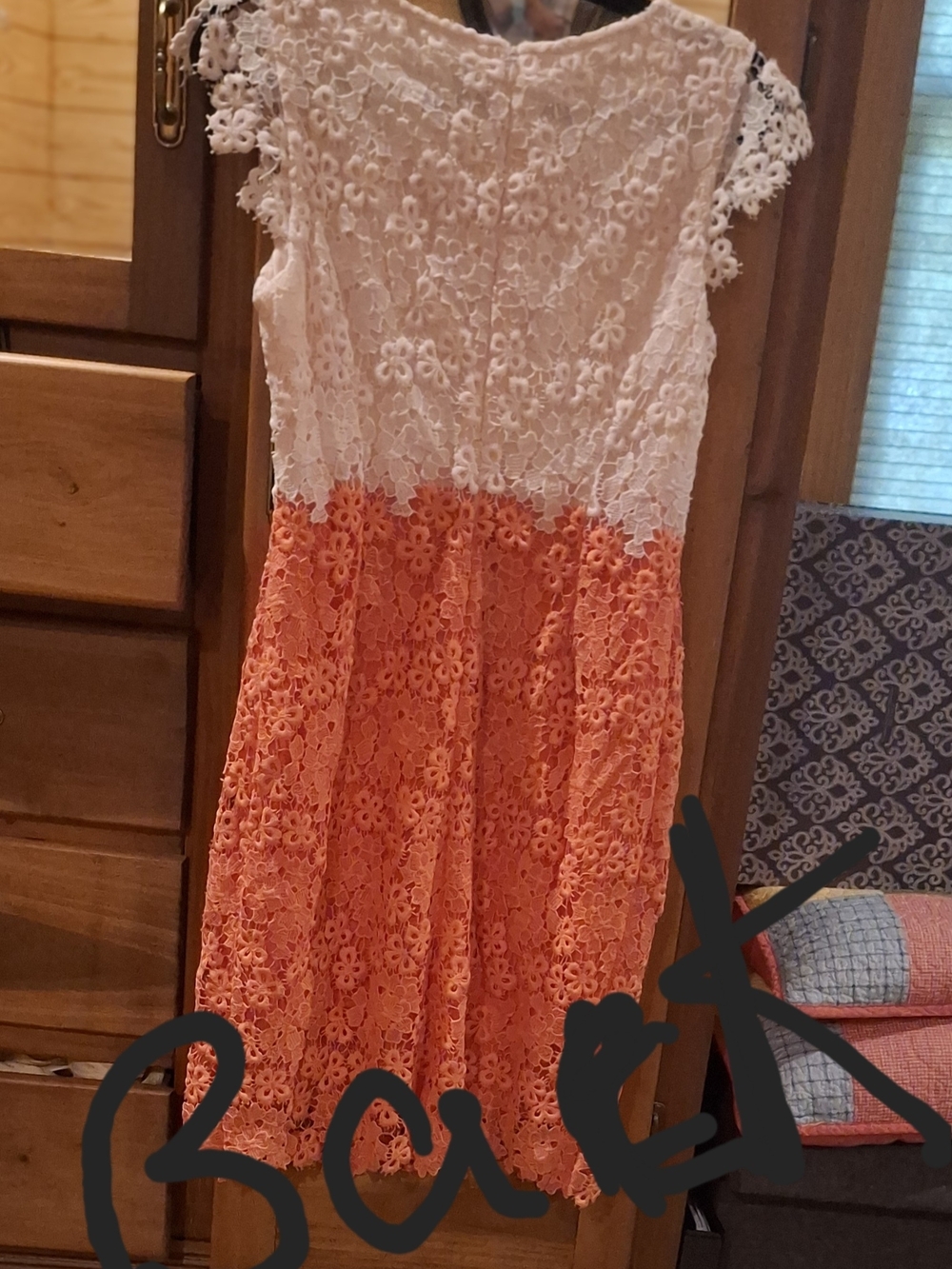 julia jordan Cream and Coral Lace Sheath Dress - Picture 15 of 16